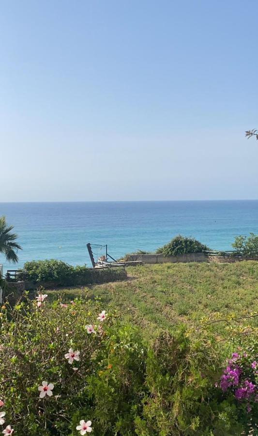 Apartamentos Balcon De Carabeo ネルハ エクステリア 写真